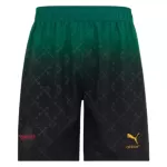 AC Milan Fourth Kit 2024/25 - minejerseys