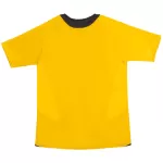 Retro Arsenal Away Jersey 2005/06 - minejerseys