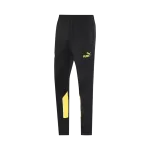 Borussia Dortmund Training Tracksuit Kit(Jacket+Pants) Yellow 2025/26 - minejerseys