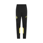 Borussia Dortmund Training Tracksuit Kit(Jacket+Pants) Yellow 2025/26 - minejerseys